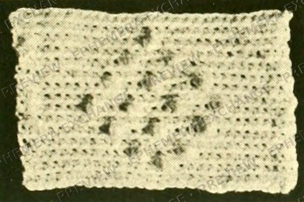 Vintage 1919 knitting photograph: eyelet knit stitch swatch